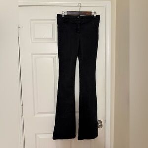 Veronica beard Flare Jeans